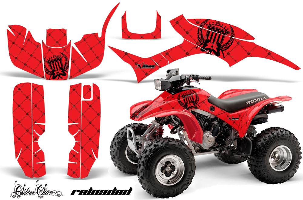 Honda TRX300 Graphics Kit SSR BR